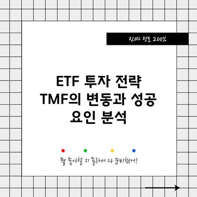 ETF 투자 전략: TMF의 변동과 성공 요인 분석