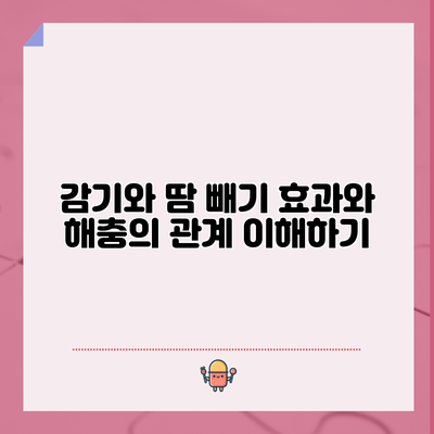 감기와 땀 빼기: 효과와 해충의 관계 이해하기