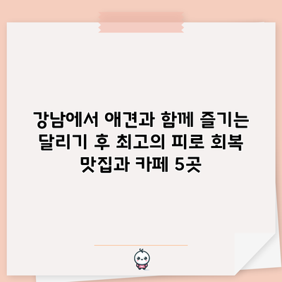 강남에서 애견과 함께 즐기는 달리기 후 최고의 피로 회복 맛집과 카페 5곳
