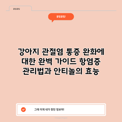 강아지 관절염 통증 완화에 대한 완벽 가이드: 항염증 관리법과 안티놀의 효능