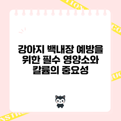 강아지 백내장 예방을 위한 필수 영양소와 칼륨의 중요성