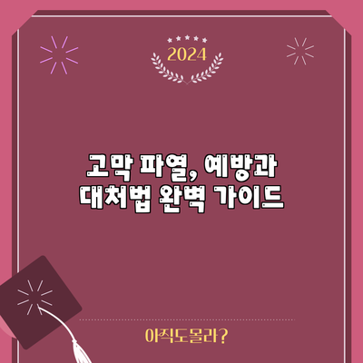 고막 파열, 예방과 대처법 완벽 가이드