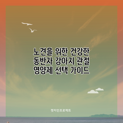 노견을 위한 건강한 동반자: 강아지 관절 영양제 선택 가이드