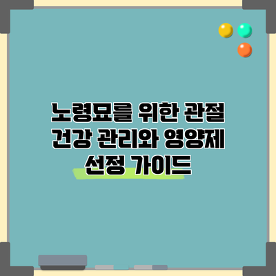 노령묘를 위한 관절 건강 관리와 영양제 선정 가이드