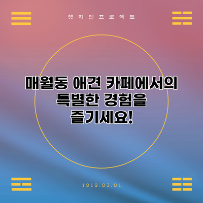 매월동 애견 카페에서의 특별한 경험을 즐기세요!