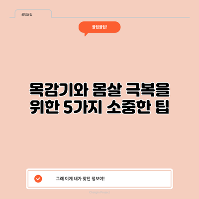 목감기와 몸살 극복을 위한 5가지 소중한 팁