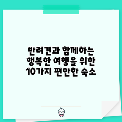 반려견과 함께하는 행복한 여행을 위한 10가지 편안한 숙소