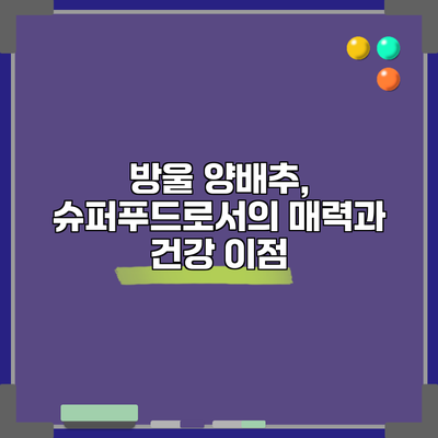 방울 양배추, 슈퍼푸드로서의 매력과 건강 이점