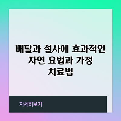 배탈과 설사에 효과적인 자연 요법과 가정 치료법