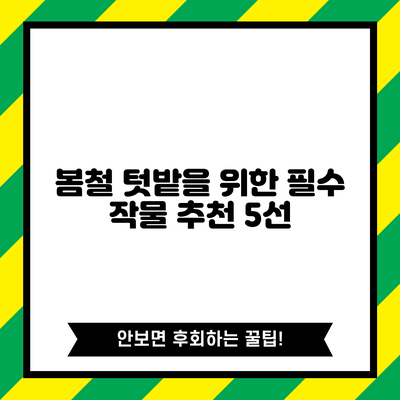 봄철 텃밭을 위한 필수 작물 추천 5선