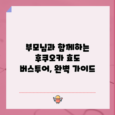 부모님과 함께하는 후쿠오카 효도 버스투어, 완벽 가이드