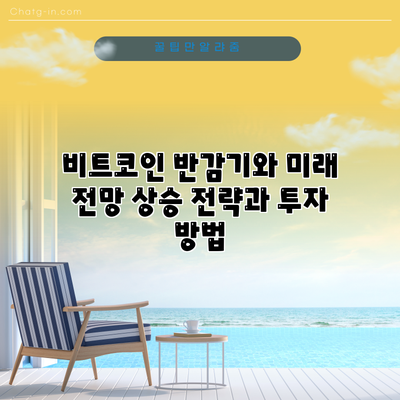 비트코인 반감기와 미래 전망: 상승 전략과 투자 방법