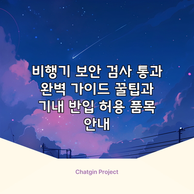 비행기 보안 검사 통과 완벽 가이드: 꿀팁과 기내 반입 허용 품목 안내
