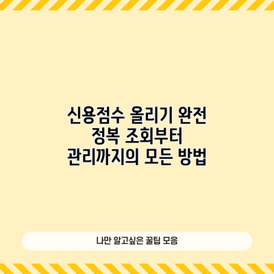 신용점수 올리기 완전 정복: 조회부터 관리까지의 모든 방법