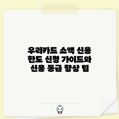 우리카드 소액 신용 한도 신청 가이드와 신용 등급 향상 팁
