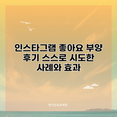 인스타그램 좋아요 부양 후기: 스스로 시도한 사례와 효과