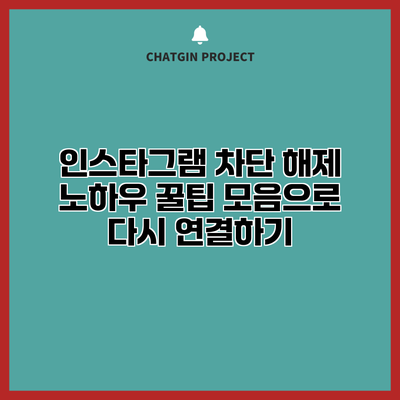 인스타그램 차단 해제 노하우: 꿀팁 모음으로 다시 연결하기