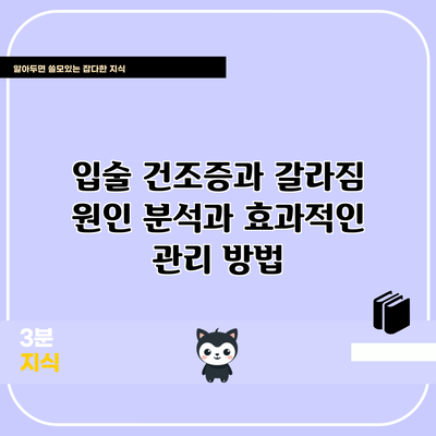 입술 건조증과 갈라짐: 원인 분석과 효과적인 관리 방법