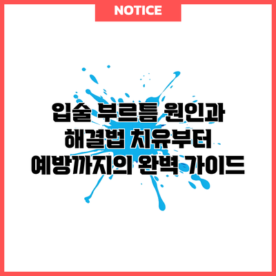 입술 부르틈 원인과 해결법: 치유부터 예방까지의 완벽 가이드