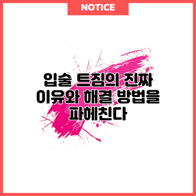 입술 트짐의 진짜 이유와 해결 방법을 파헤친다
