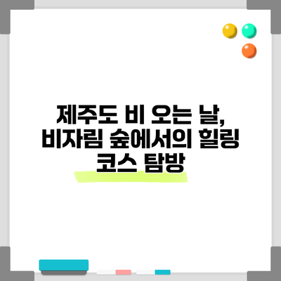제주도 비 오는 날, 비자림 숲에서의 힐링 코스 탐방