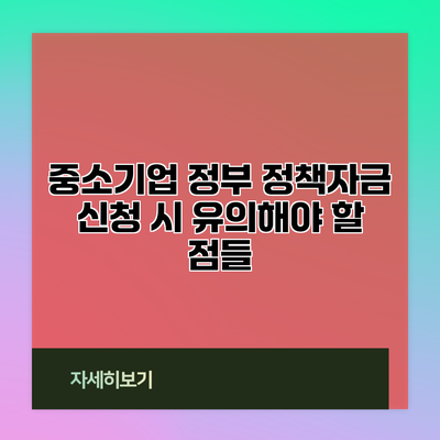 중소기업 정부 정책자금 신청 시 유의해야 할 점들