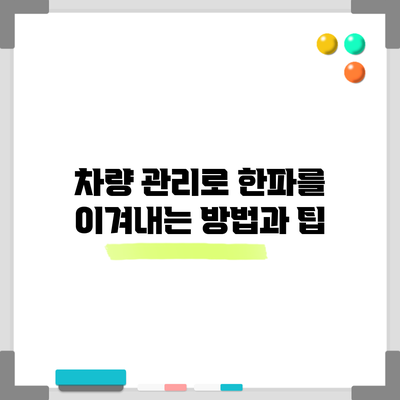 차량 관리로 한파를 이겨내는 방법과 팁