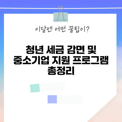 청년 세금 감면 및 중소기업 지원 프로그램 총정리