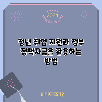 청년 취업 지원과 정부 정책자금을 활용하는 방법