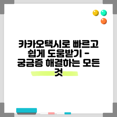 카카오택시로 빠르고 쉽게 도움받기 - 궁금증 해결하는 모든 것
