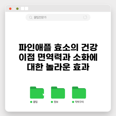 파인애플 효소의 건강 이점: 면역력과 소화에 대한 놀라운 효과