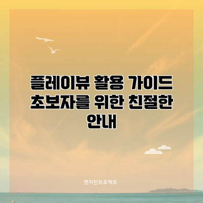 플레이뷰 활용 가이드: 초보자를 위한 친절한 안내