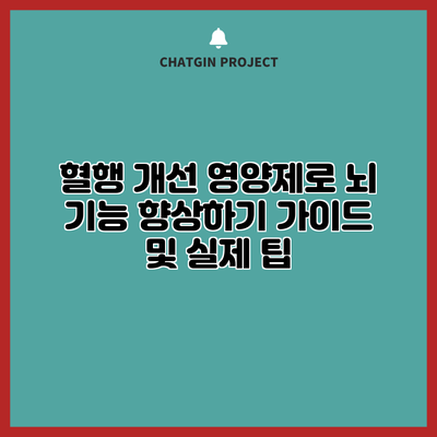 혈행 개선 영양제로 뇌 기능 향상하기: 가이드 및 실제 팁
