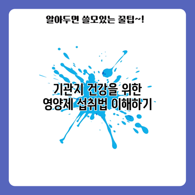 기관지 건강을 위한 영양제 섭취법 이해하기