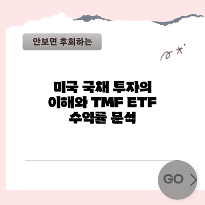 미국 국채 투자의 이해와 TMF ETF 수익률 분석