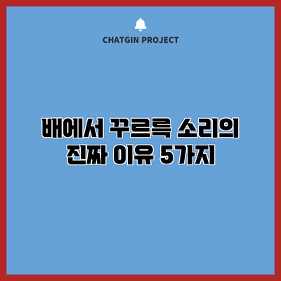 배에서 꾸르륵 소리의 진짜 이유 5가지