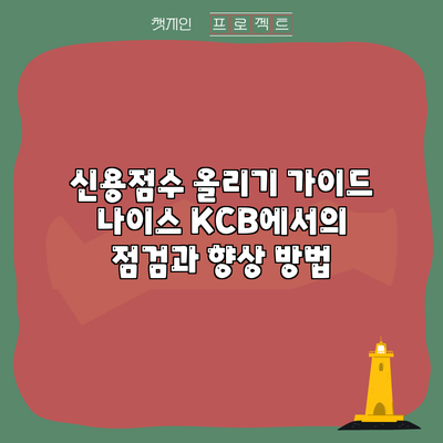 신용점수 올리기 가이드: 나이스 KCB에서의 점검과 향상 방법