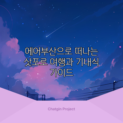 에어부산으로 떠나는 삿포로 여행과 기내식 가이드