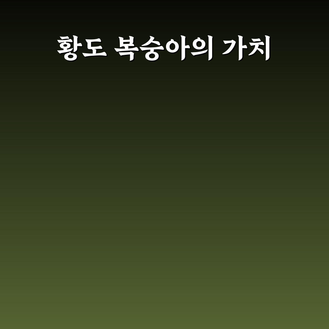 황도 복숭아 철 꿀팁과 맛있게 즐기는 법 정리